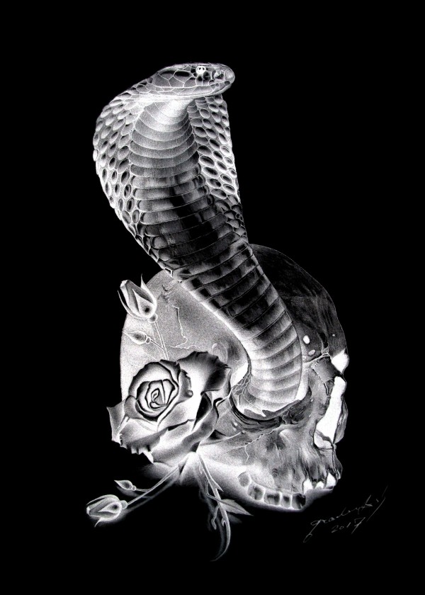 COBRA 1 by Miro Gradinscak